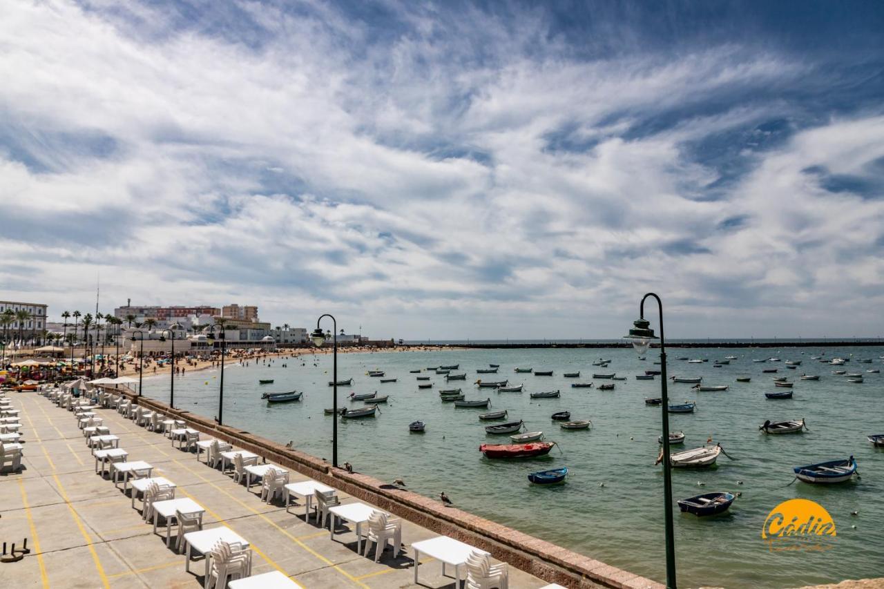 La Luz De La Vina - Free Parking By Cadiz Time Apartman Kültér fotó